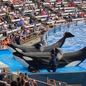 Meet your Posher, Sapna